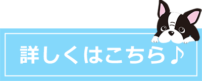 詳しくはこちら♪
